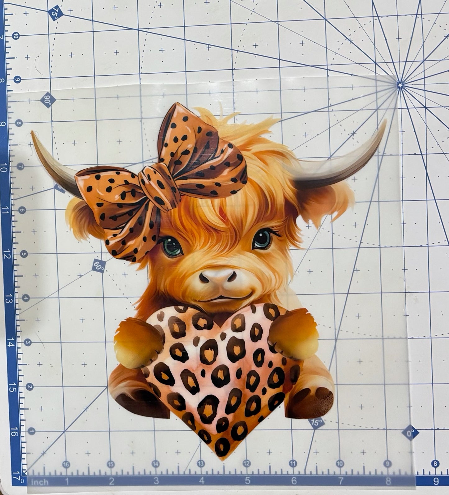 TRANSFER ONLY- Youth Leopard Valentine