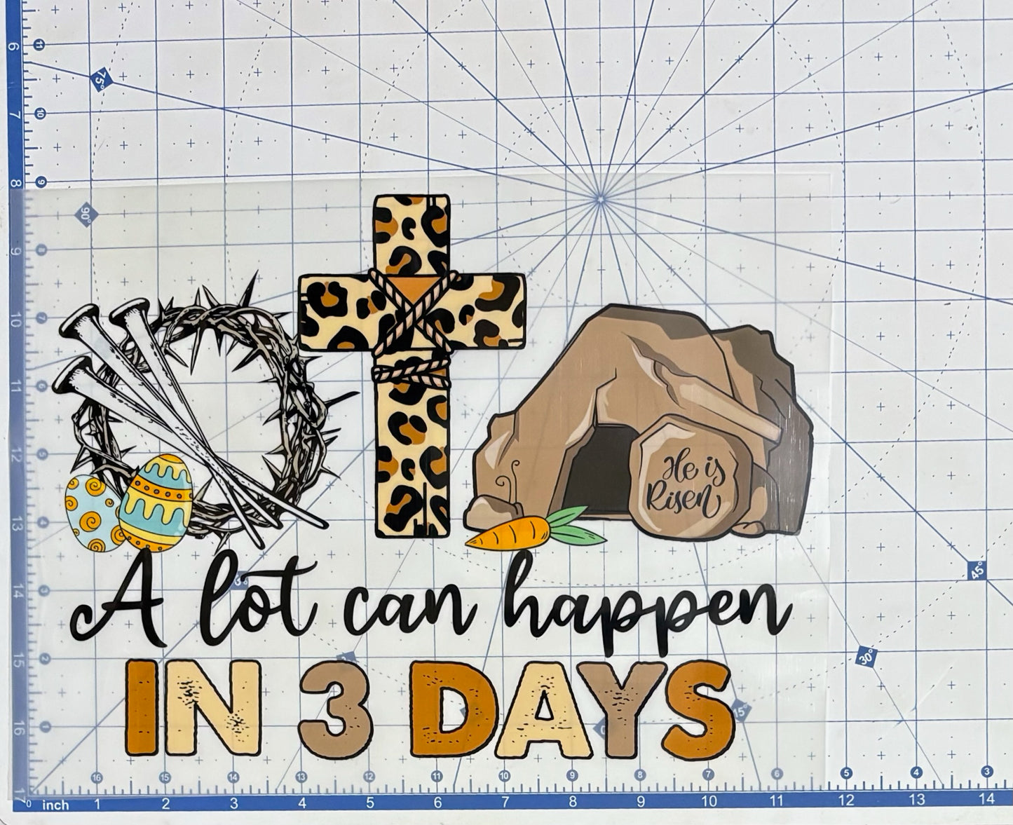 TRANSFER ONLY- 3 days