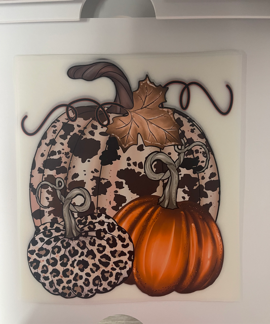 TRANSFER ONLY- Cowhide Leopard Pumpkin