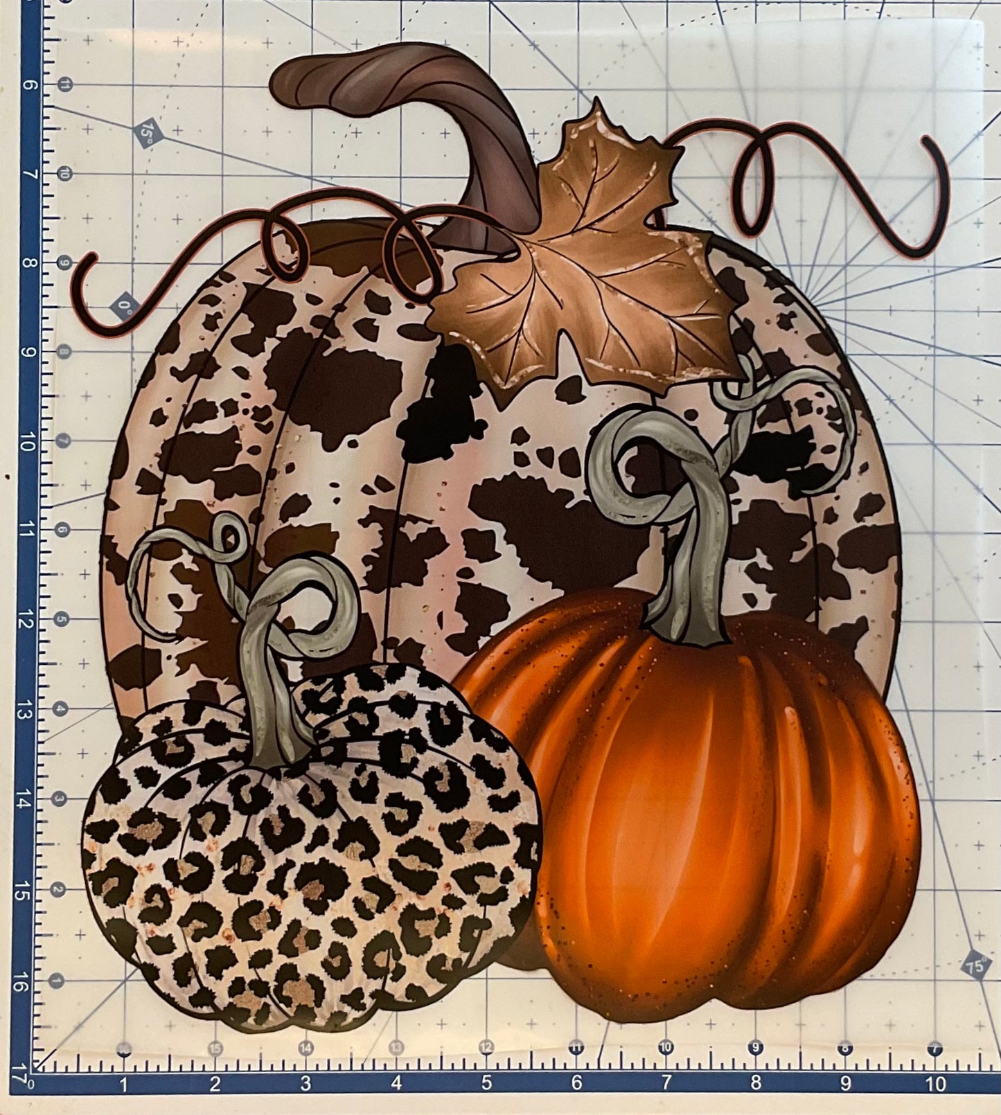 TRANSFER ONLY- Cowhide Leopard Pumpkin